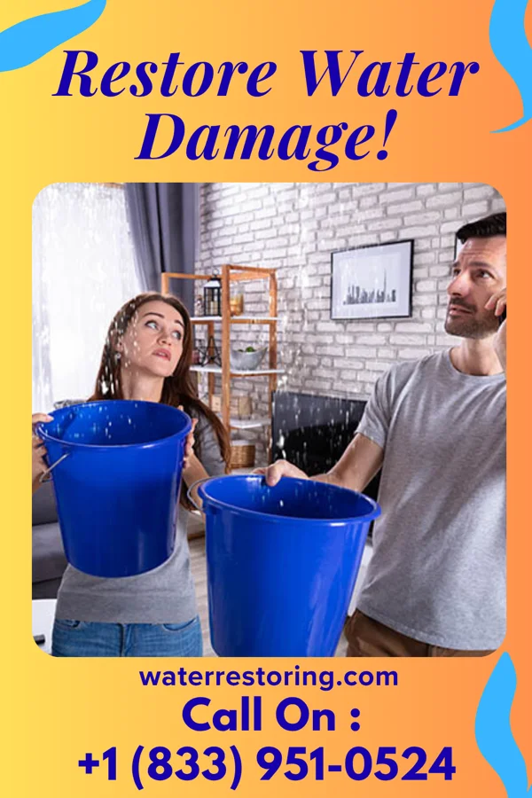 water restoration Elite Restoration Solutions Contractors Cape Colony