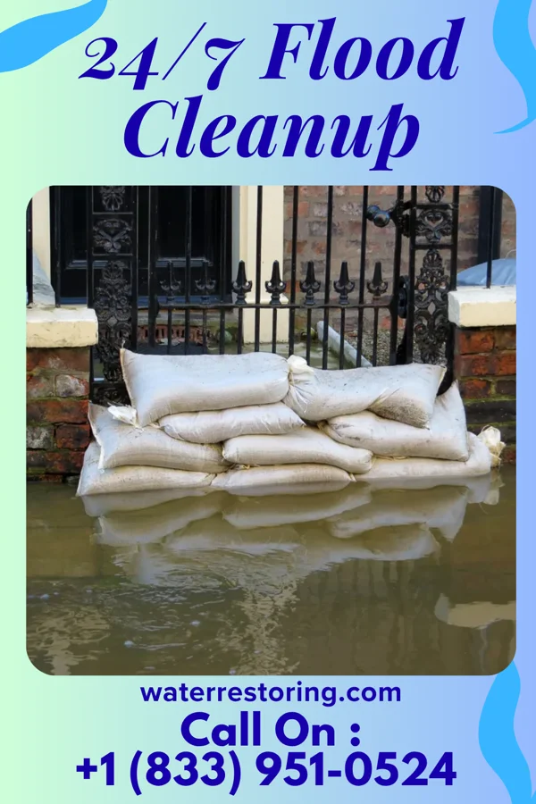 24/7 Flood Cleanup in Cape Colony, NC