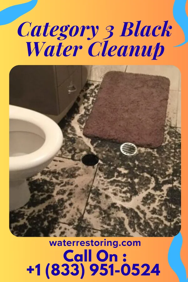 Category 3 Black Water Cleanup in Cape Colony, NC