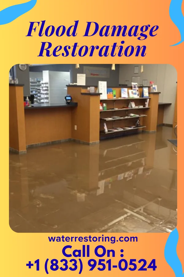 Flood Damage Restoration in Cape Colony, NC