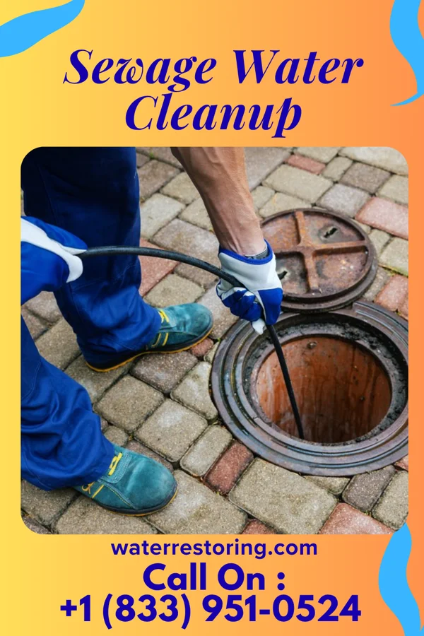 Sewage Water Cleanup in Cape Colony, NC